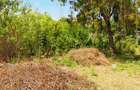 Land at Diani Beach Road - 11