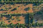 1,012 m² Residential Land at Kuruwitu Blue Green Estate Vipingo - 7