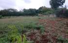 Land at Kikambala - 3