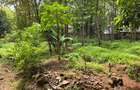 Land in Kileleshwa - 3