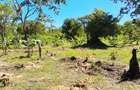 Land at Msambweni - 10