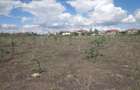 4.75 ac Land at Parliament Rd - 5