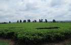 Commercial Land at Kiambu Road - 4