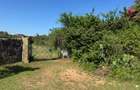 10.95 ac Land at Shanzu Beach - Overlooking Mtwapa Creek - 8