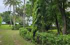 4 Bed Villa with En Suite at Kikambala - 6