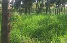 1.2 ac Land in Ngong - 9