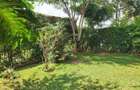 3 Bed Townhouse with En Suite in Rosslyn - 2