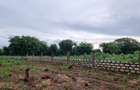 Land at Utalii - Vipingo - 8