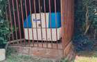 5 Bed House with En Suite in Gigiri - 9