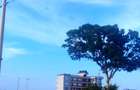 5,000 ft² Land at Voi - 5