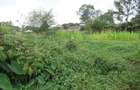 Residential Land at Mushroom Gardens - 6