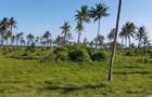 Land in Kilifi - 11