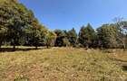 6.36 ac Land at Tigoni - 5