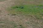 4.8 ac Commercial Property with Garden in Athi River - 6