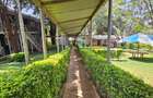 Commercial Property with Service Charge Included at Gigiri - 8