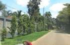 0.5 ac Residential Land at Muthithi - 19