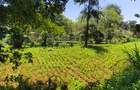 Land in Kitisuru - 1