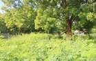 Land at Diani Beach Road - 14