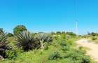 Land at Vipingo - 1