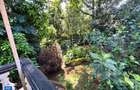 3 Bed House with Garden in Spring Valley - 5