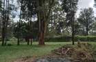 3 Bed House with En Suite in Karen - 6