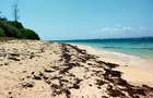 1,012 m² Residential Land at Seafront Estate - 10