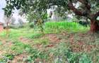 1.2 ac Land in Lower Kabete - 4