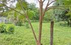 Land at Mtwapa - 3