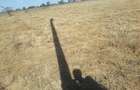 5 ac Land in Kiserian - 13