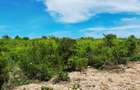 Land at Watamu - 2