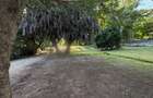 Commercial Land in Diani - 15