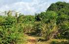 Land at Tiwi Near Diani South Coast - 11