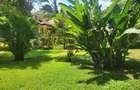 5 Bed Townhouse with En Suite in Rosslyn - 2