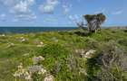 Land in Watamu - 11