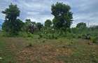 4.5 ac Land at Mtwapa - 17