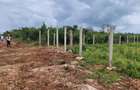 505 m² Residential Land at Galu Road - 7