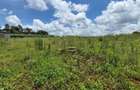 Residential Land in Runda - 6