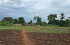 4.5 ac Land at Mtwapa - 7