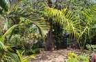 3 Bed Villa with En Suite at Diani Beach Road - 12