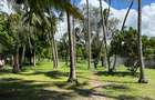 3.9 ac Land at Kikambala Beach - 7