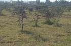 4 ac Land in Ongata Rongai - 7
