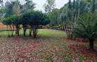 4 Bed House in Karen - 2