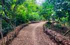Land at Mtwpa Creek Aloo Drive - 19