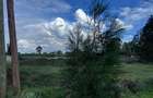 0.5 ac Land in Runda - 6