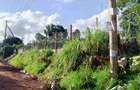 1.2 ac Land in Lower Kabete - 3