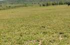 Land in Kitengela - 1