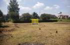 Land in Limuru Town - 7