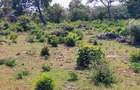 Land in Bofa - 13