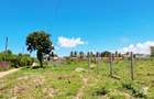 Land at Diani Beach - 5