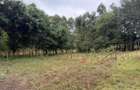 0.0123 ac Land in Ngong - 1